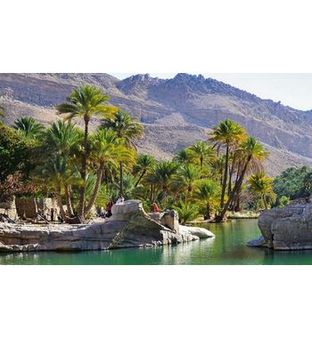 Тур в Салалу (Оман) из Ташкента — отдых на океане по лучшим ценам